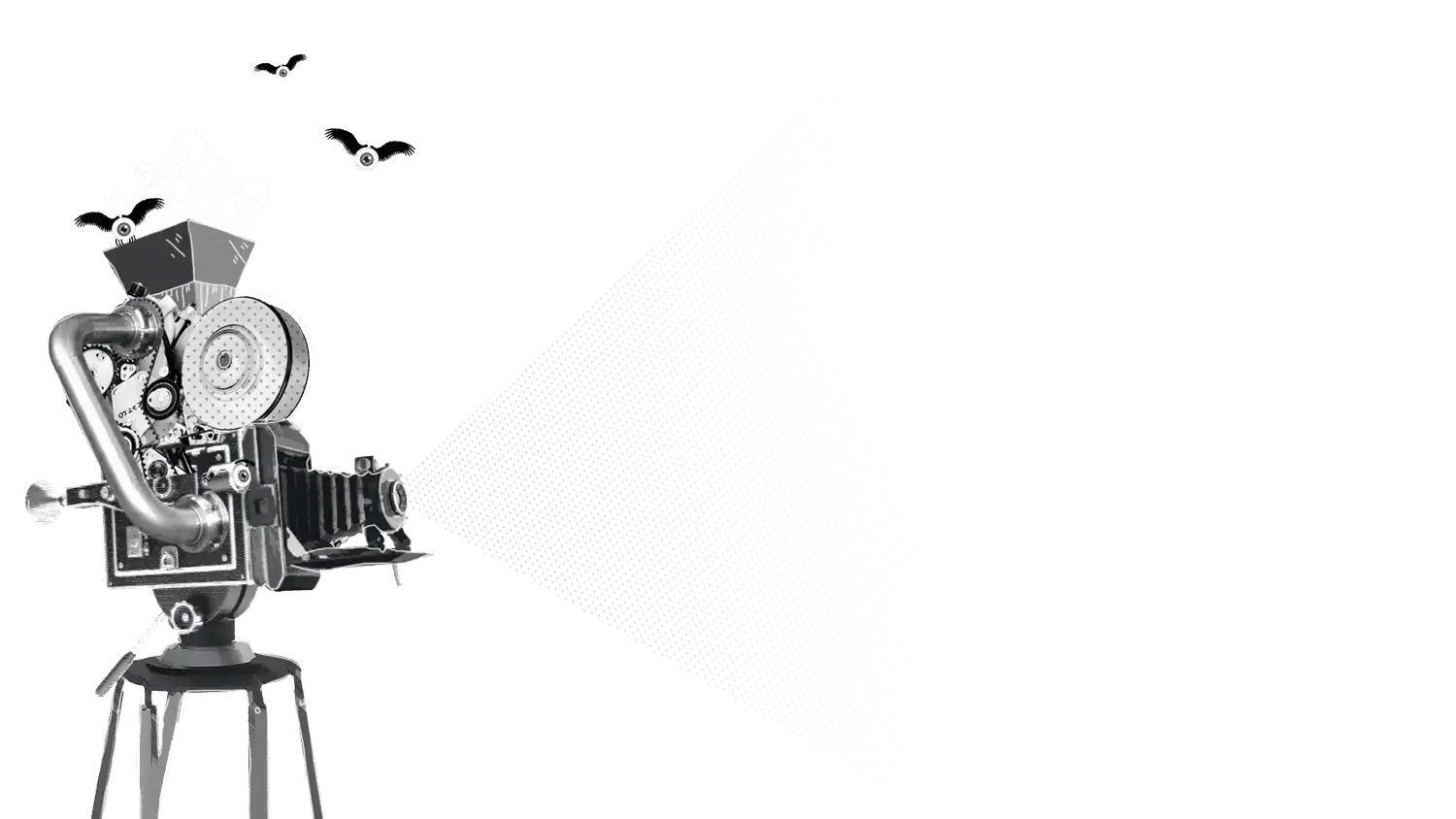 نمونه کار ماکان